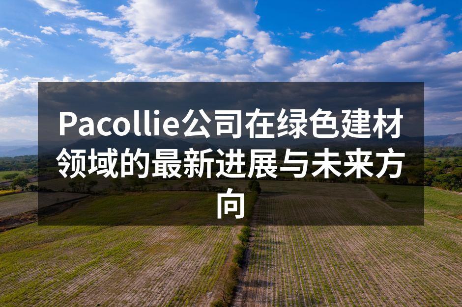 Pacollie新型生态砖展示